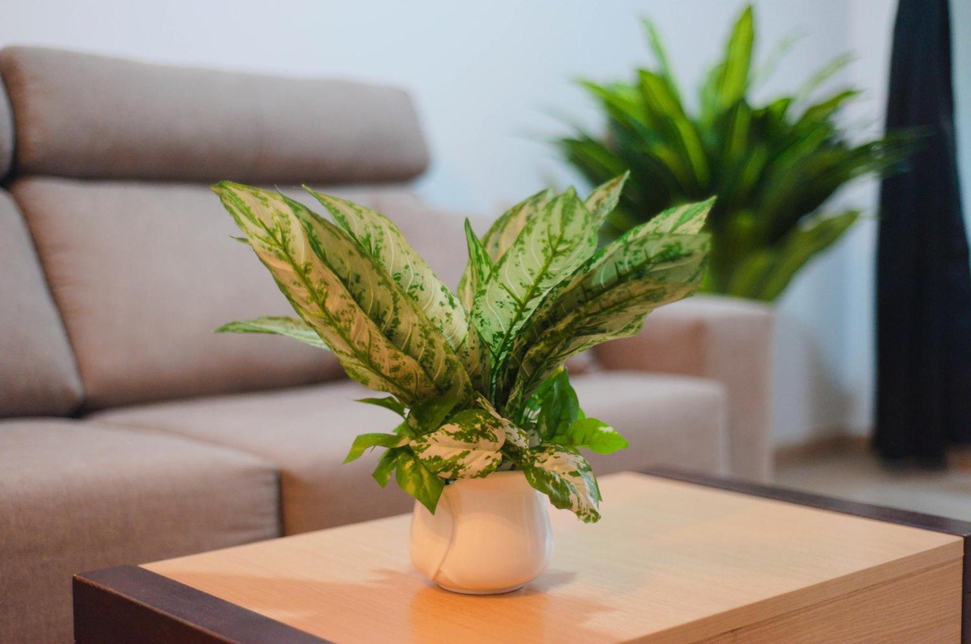 Apartalux Magic Gold Apartment Oropesa del Mar